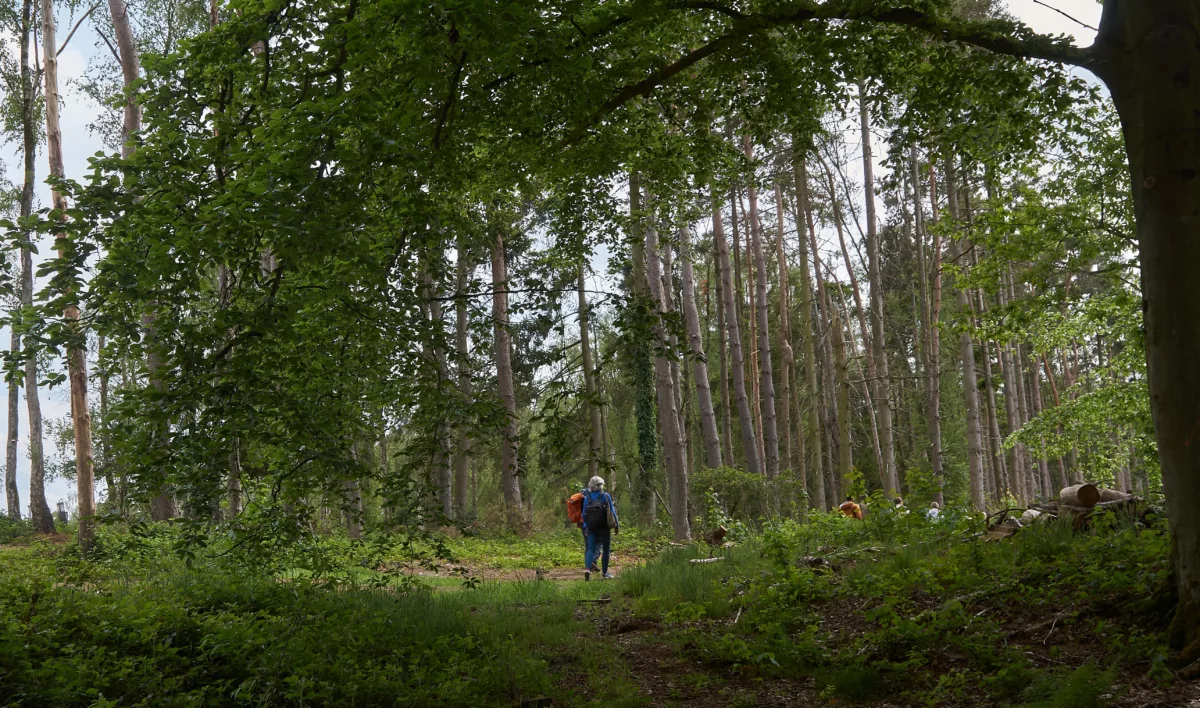 Puis-je me promener en forêt partout ?